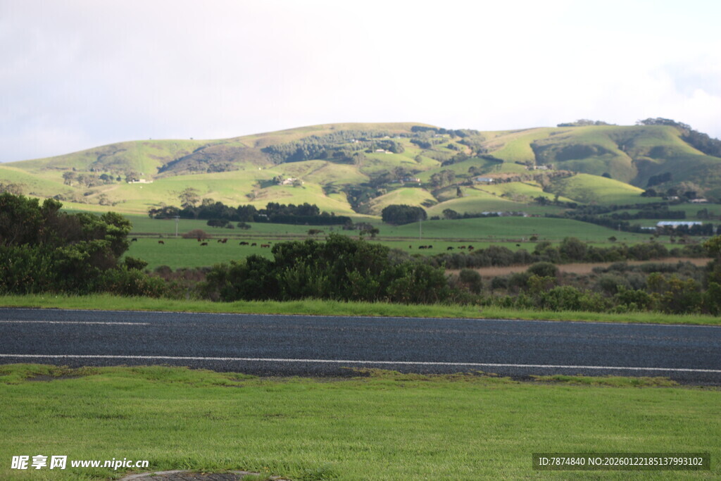 公路旁的翠绿山丘景观