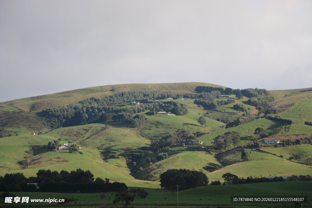绿意盎然的丘陵风光