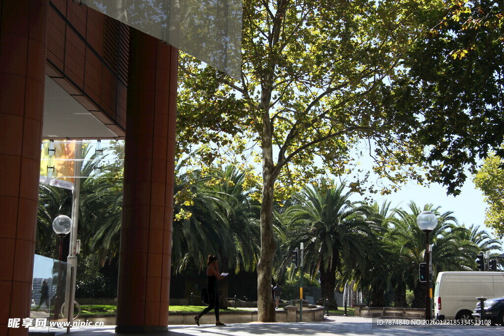 户外林荫下的建筑景观