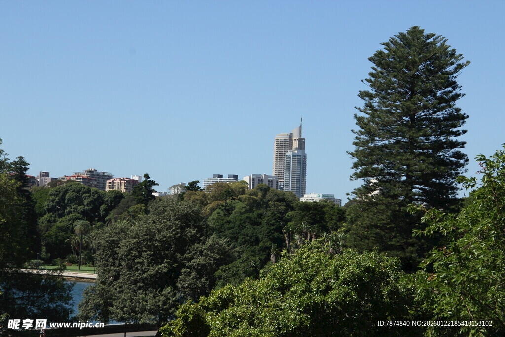 绿树掩映中的高耸建筑