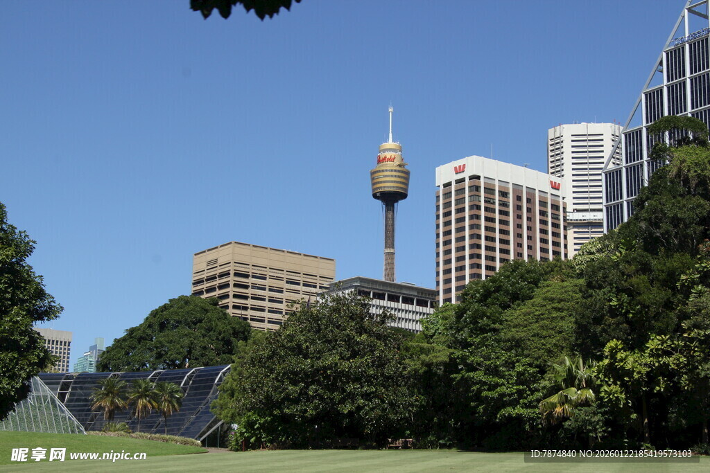 悉尼城市景观与绿植