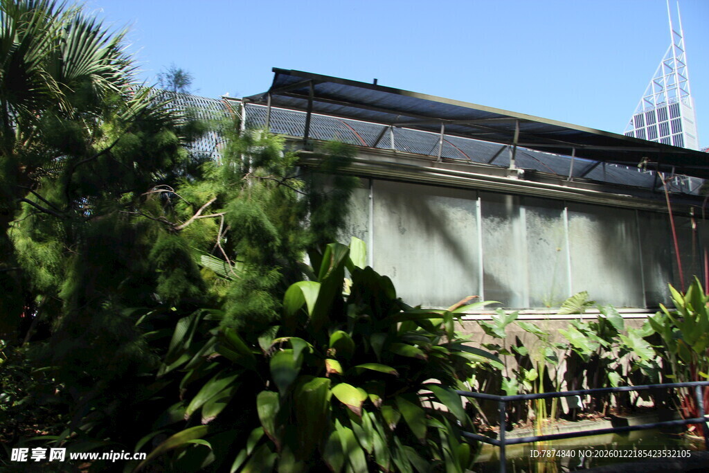 户外绿植环绕的建筑景观