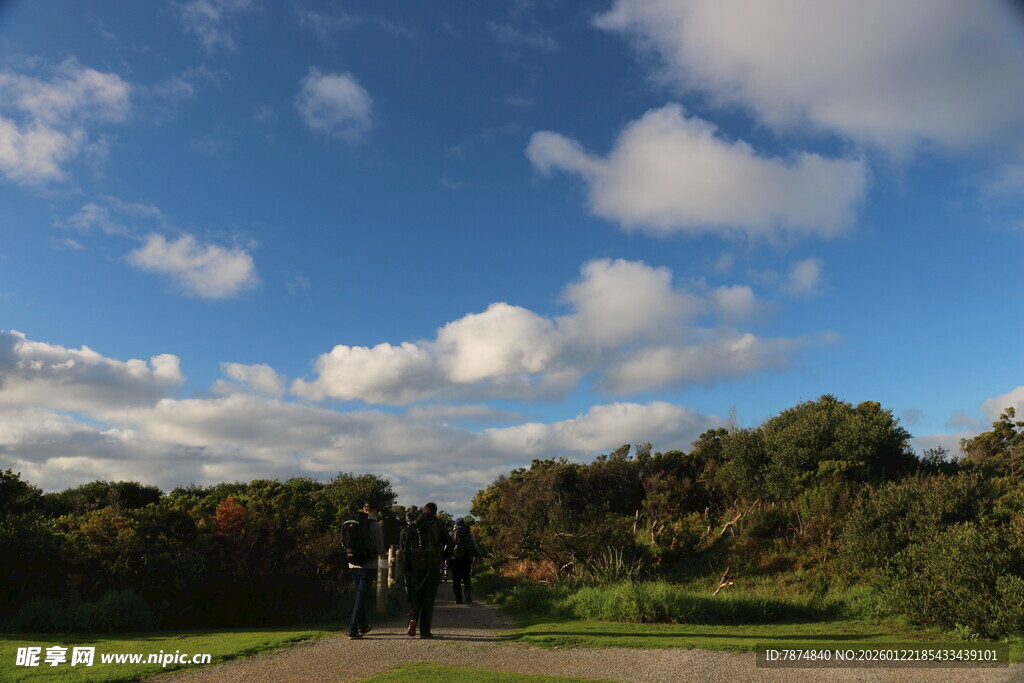 漫步林间小道的惬意时光
