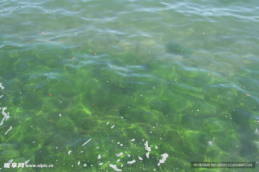 清澈绿波下的水底景象