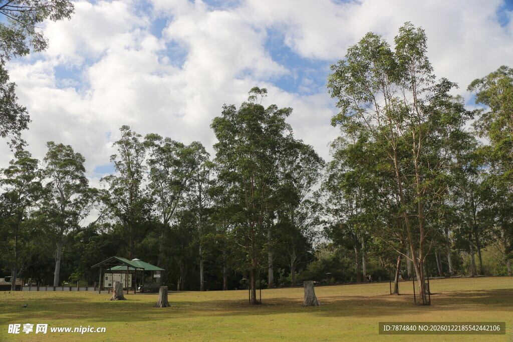户外树林草地休闲场景