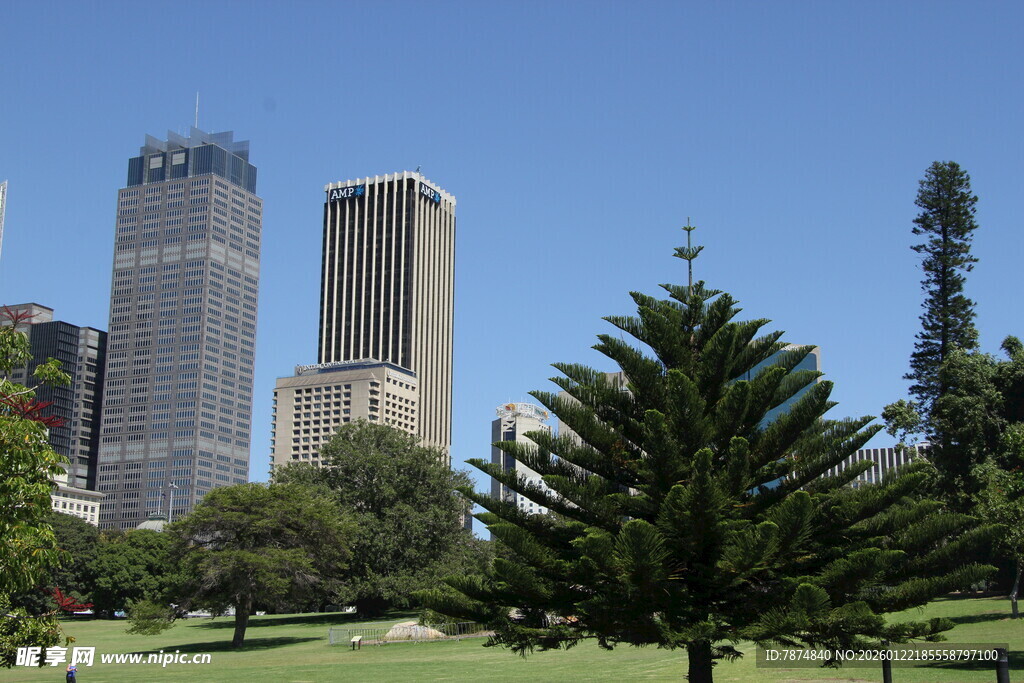 城市公园旁的摩天大楼景观