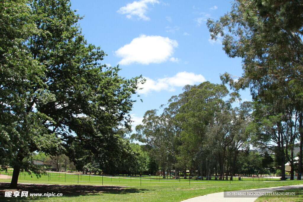 郊外绿意盎然的林间小道