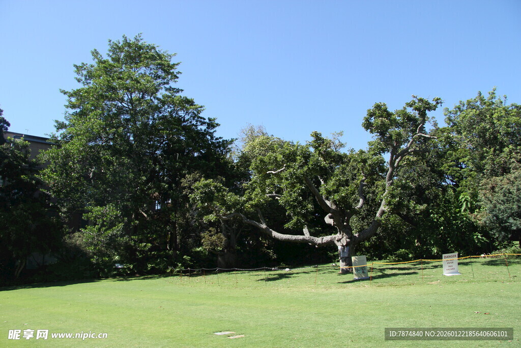 户外绿意盎然的草地与树木