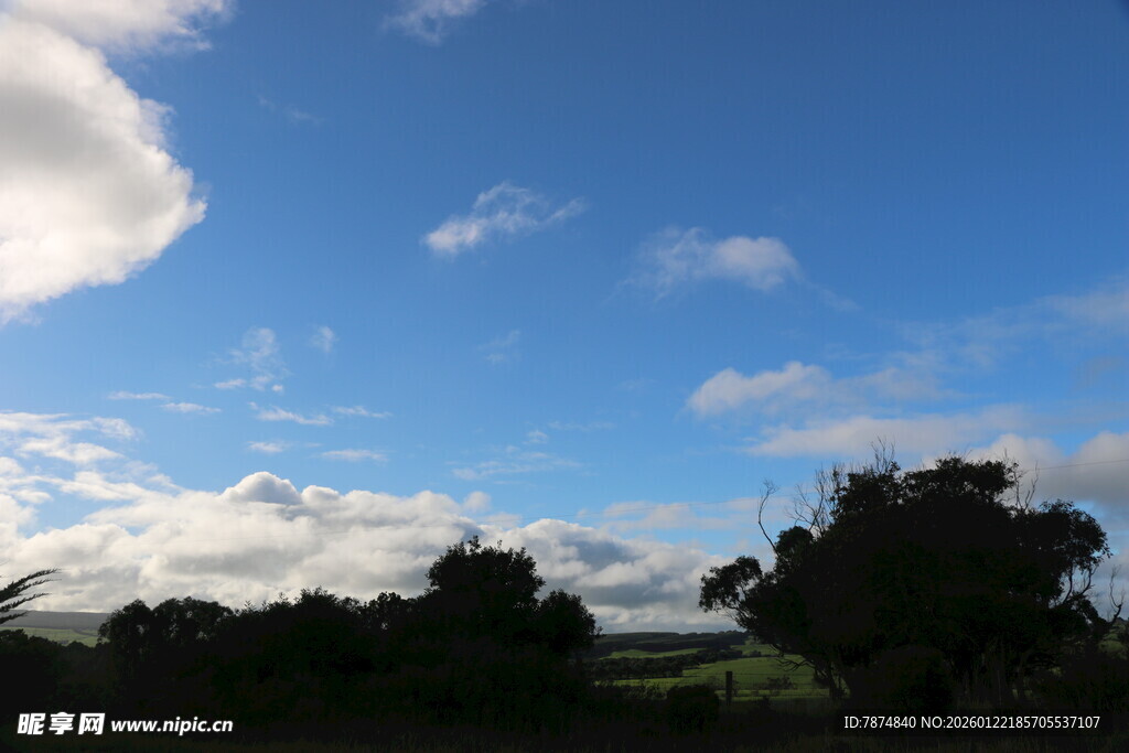 蓝天绿树间的悠然景致