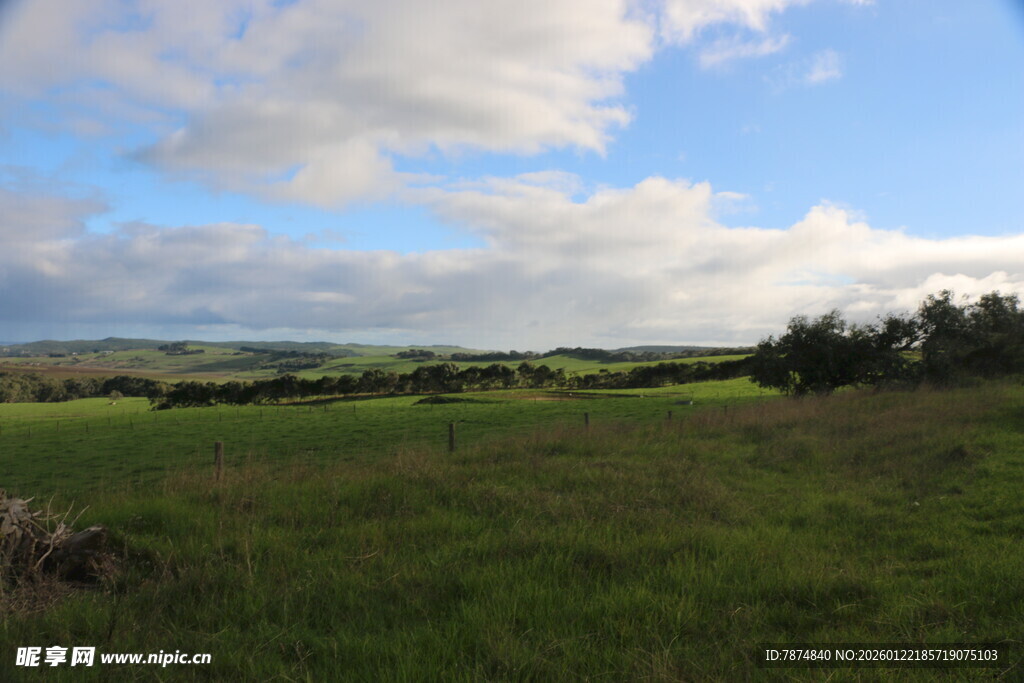 广袤绿野与蓝天白云景观