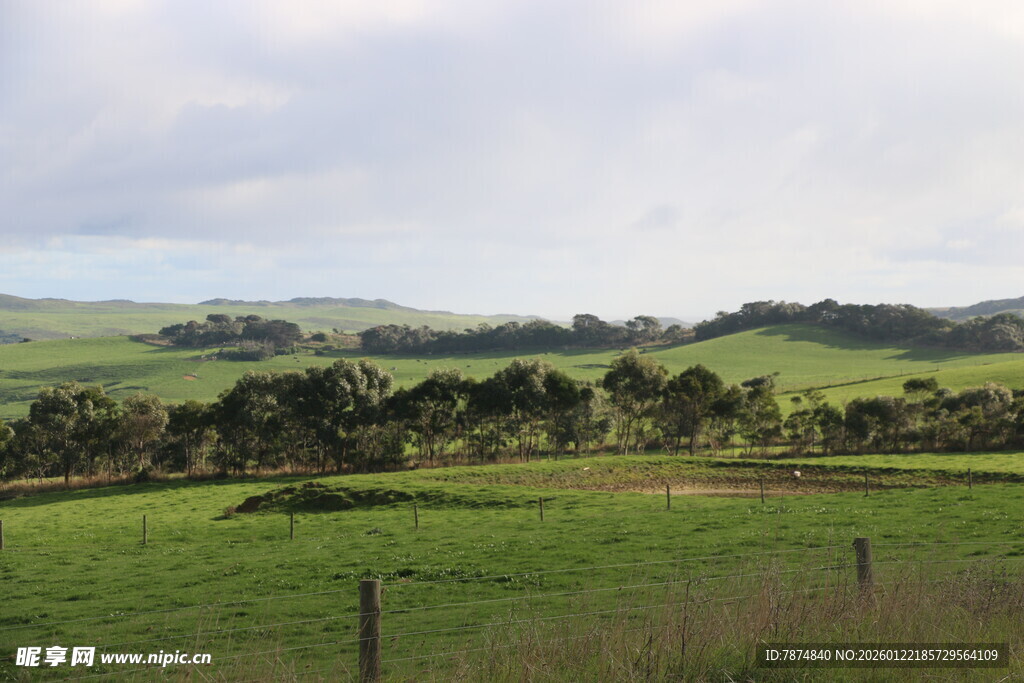 田园风光中的广袤绿色牧场