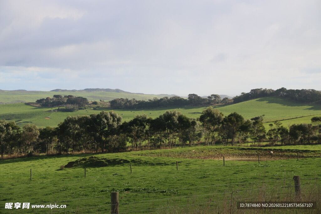 田园风光中的广袤绿色草地
