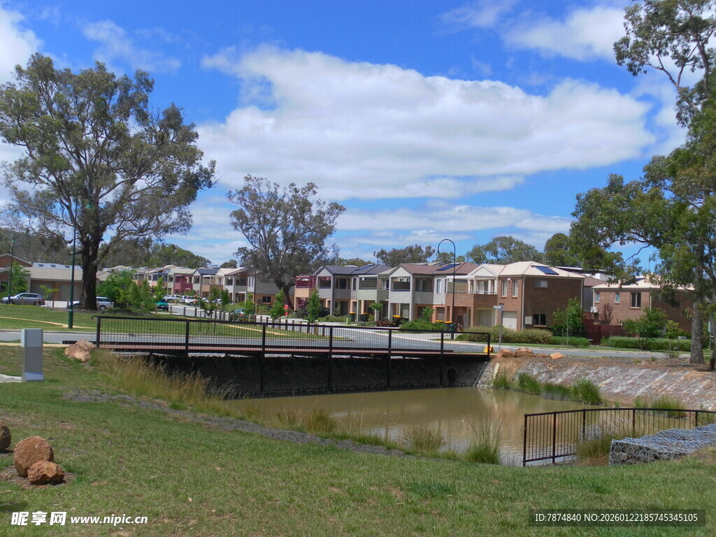 湖畔草地旁的宁静景致