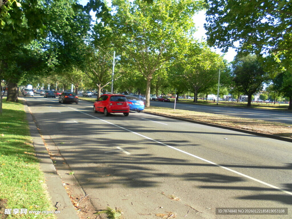 城市林荫道上的红色汽车