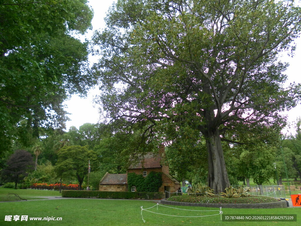 绿意盎然的庭院景观