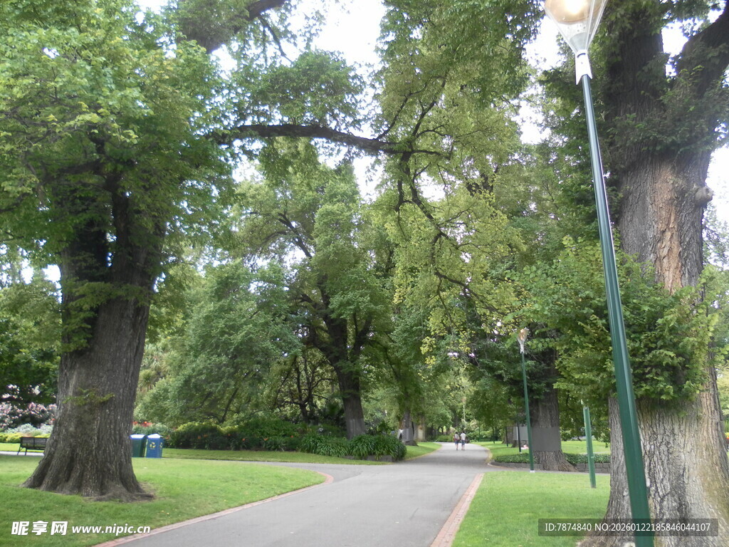 林间幽静小路美景