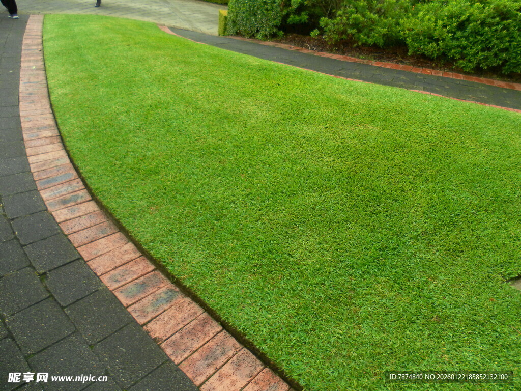 整洁的庭院草坪景观