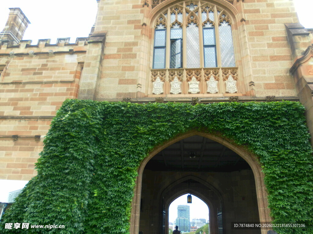 爬满绿植的古老建筑拱门