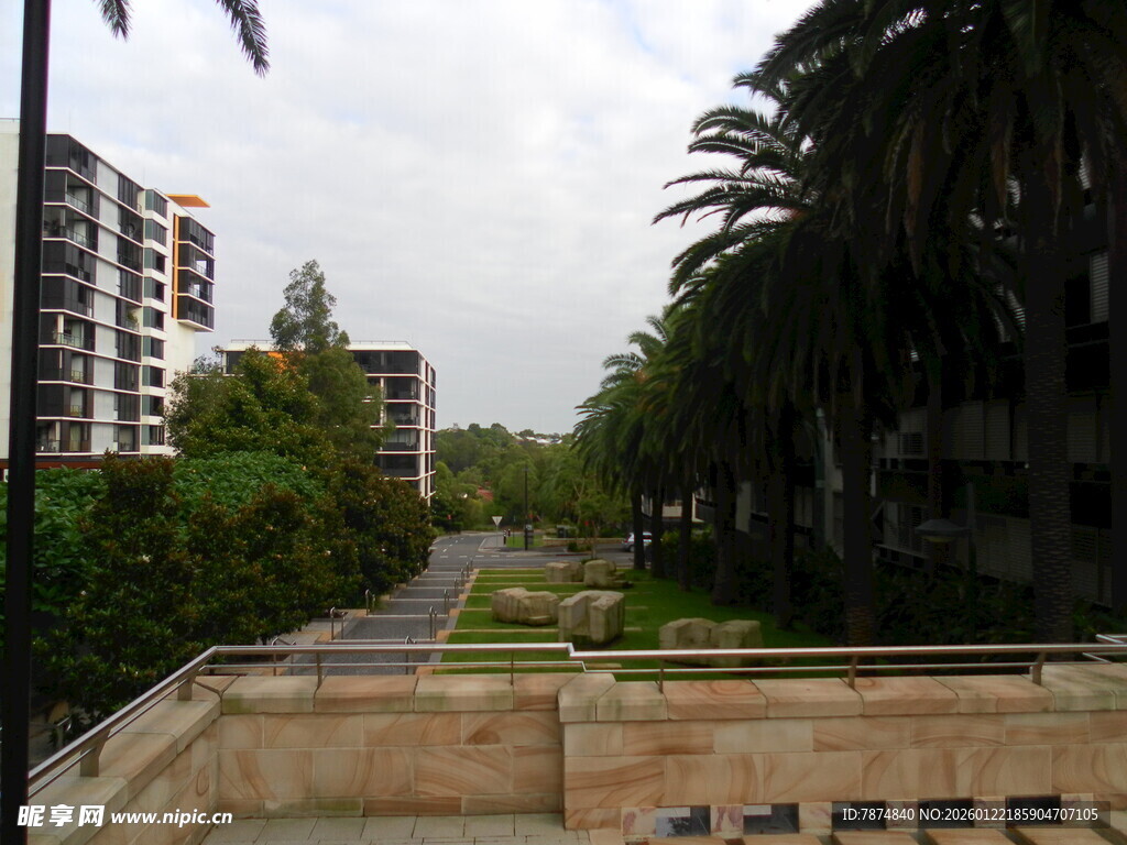 城市中静谧的绿植景观