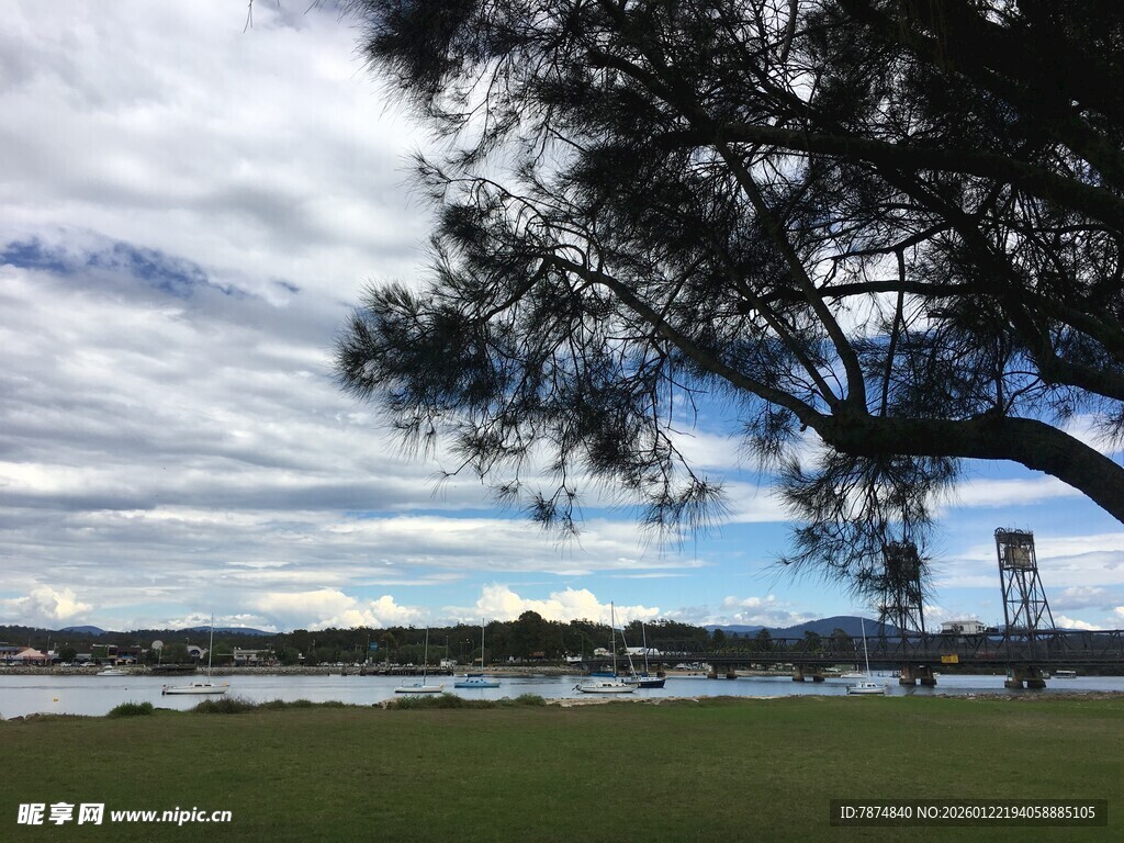 湖畔风景 树影与蓝天交织