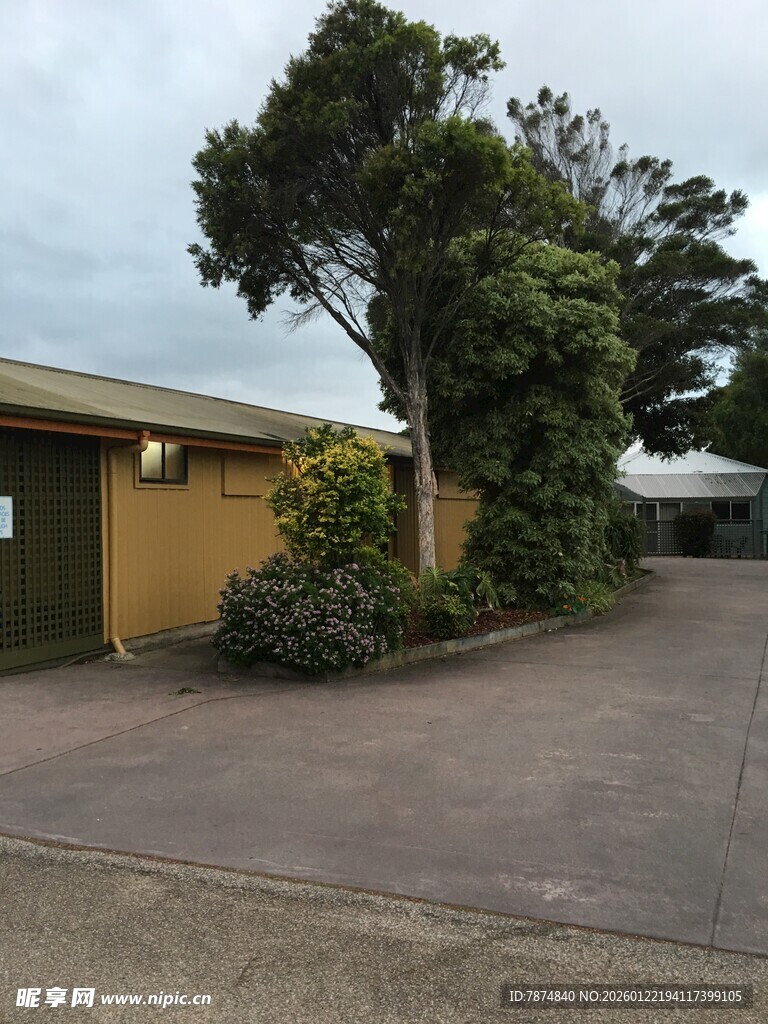 庭院绿植环绕的建筑外观