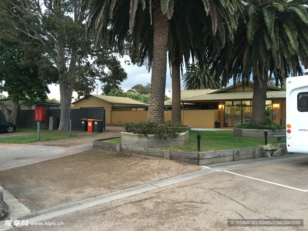 户外开阔场地与棕榈树景观