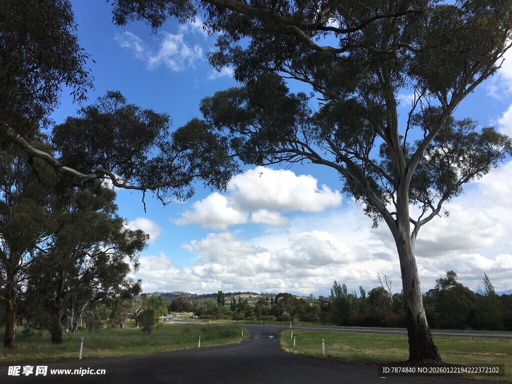 乡村公路旁的树木与蓝天
