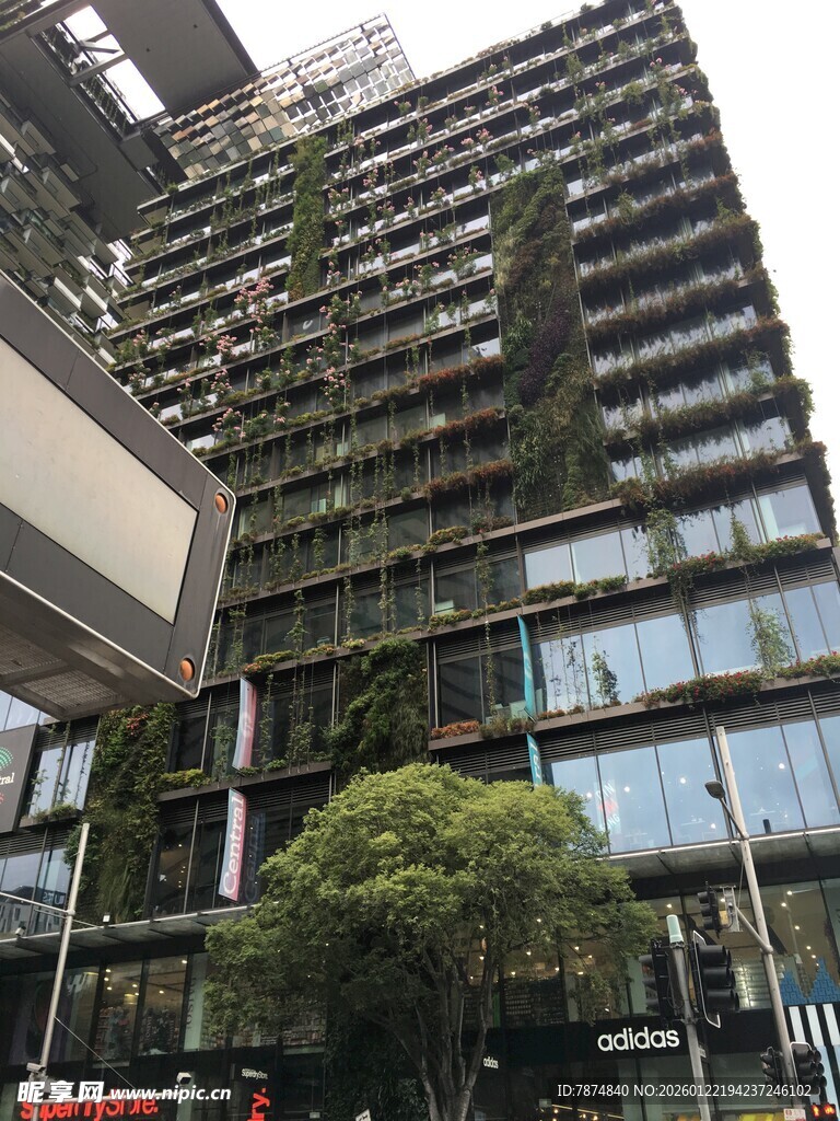 现代绿植覆盖的高楼大厦