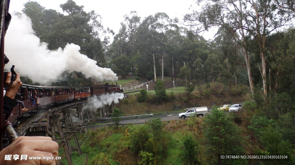 森林中行驶的复古蒸汽火车