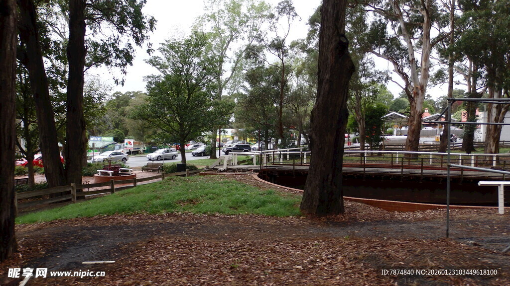 公园林荫下的停车场景