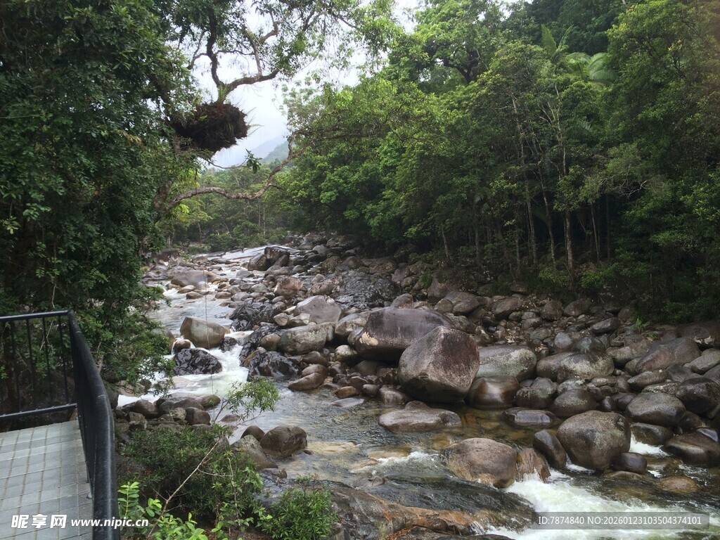 山间溪流穿林过