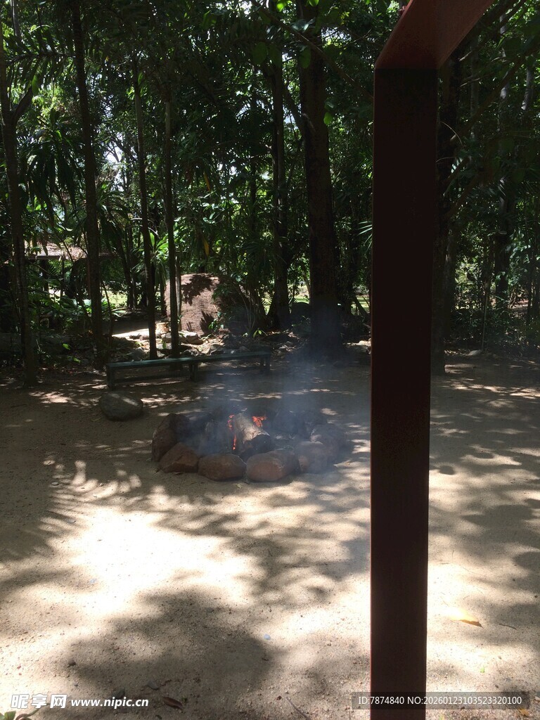 林间光影斑驳的幽静小道