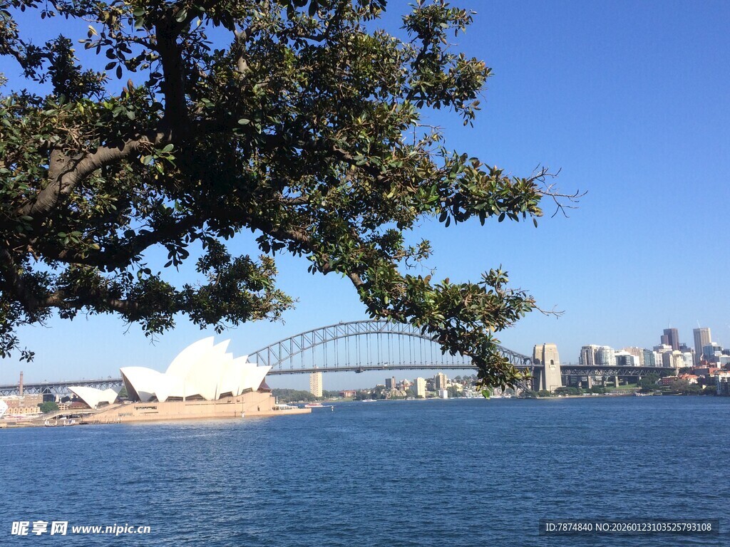 悉尼歌剧院与海港大桥景观