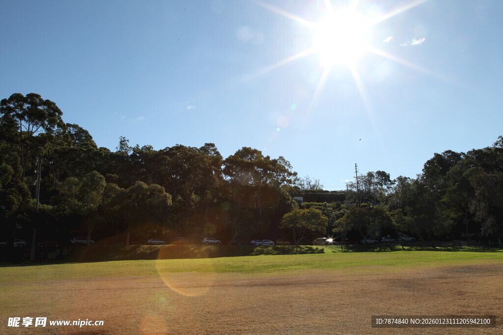 阳光照耀下的开阔草地