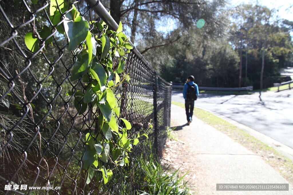 小径上独行的身影