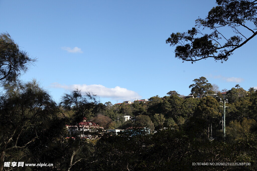 蓝天绿树间的自然景致