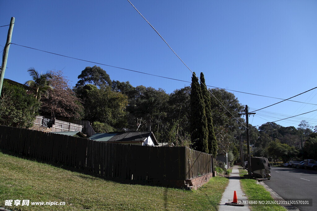 乡村小路旁的自然景致