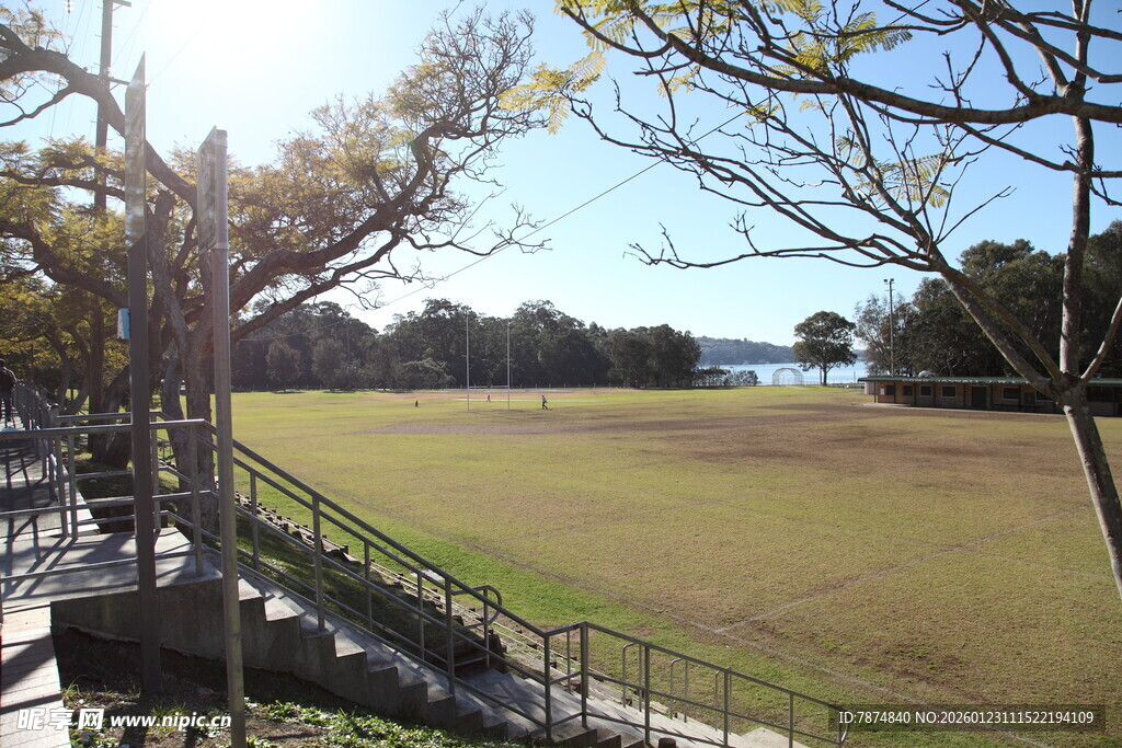 户外开阔草地与树木景观