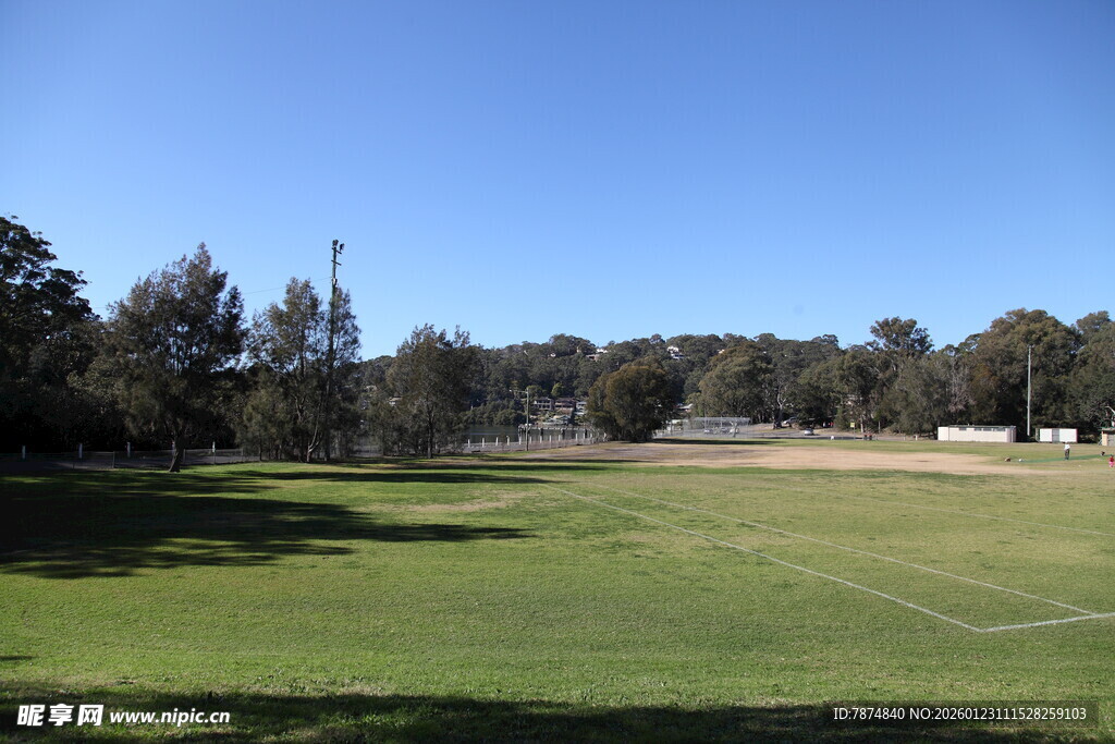 开阔绿茵场地与蓝天树木