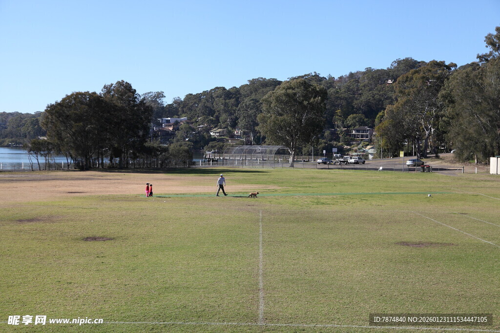 户外草地运动场景