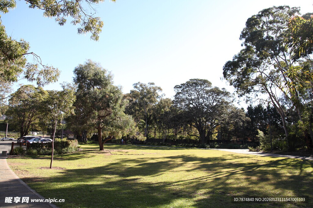 阳光照耀下的静谧公园