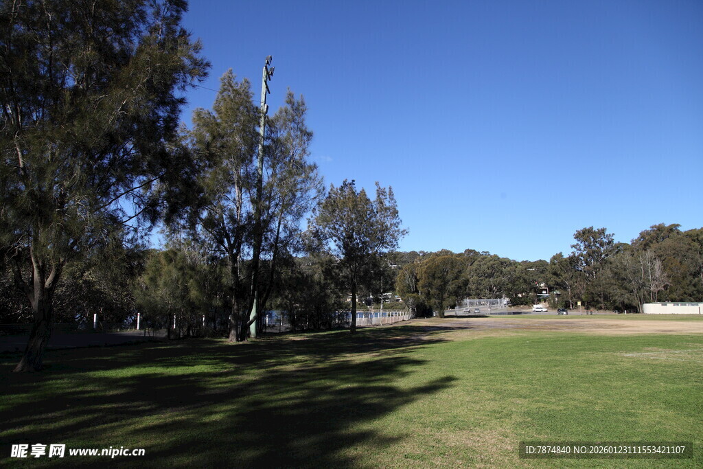 户外开阔草地与树木景观