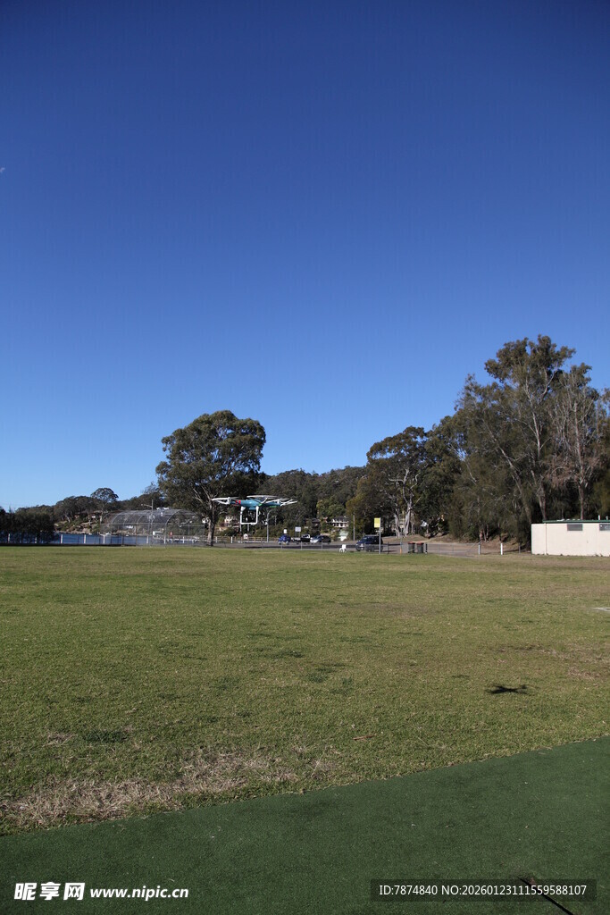 开阔草地与远处树木景观