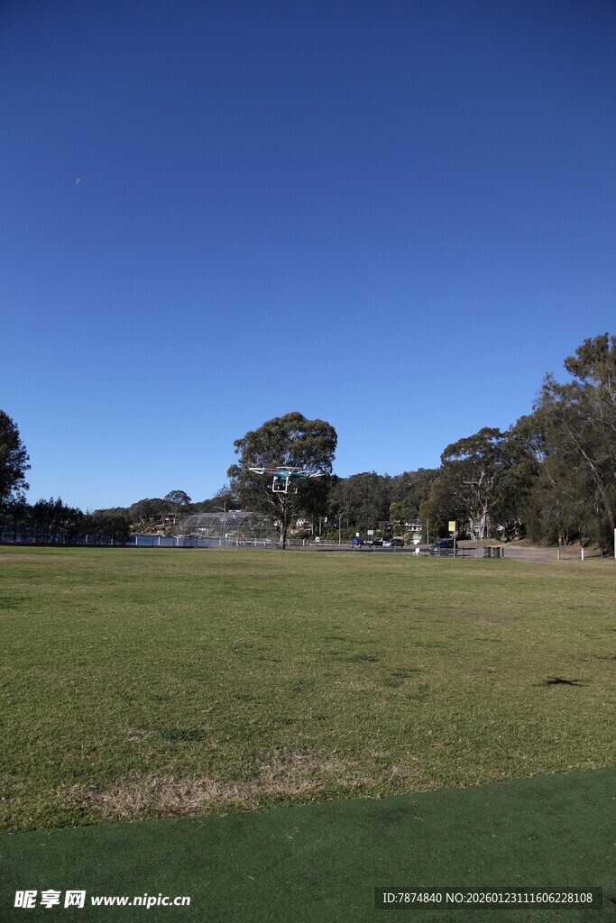 广阔绿草地与远处树木