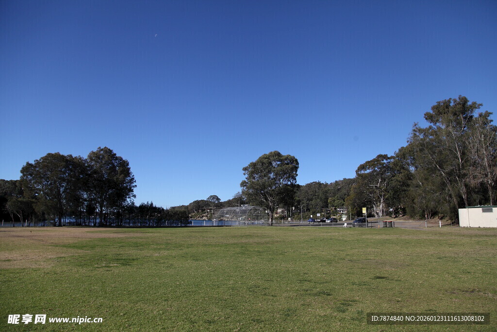 开阔草地与远处树木景观