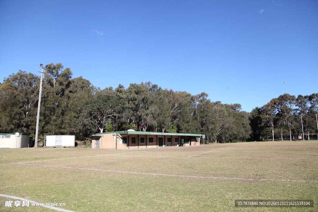 开阔草地旁的树林与建筑