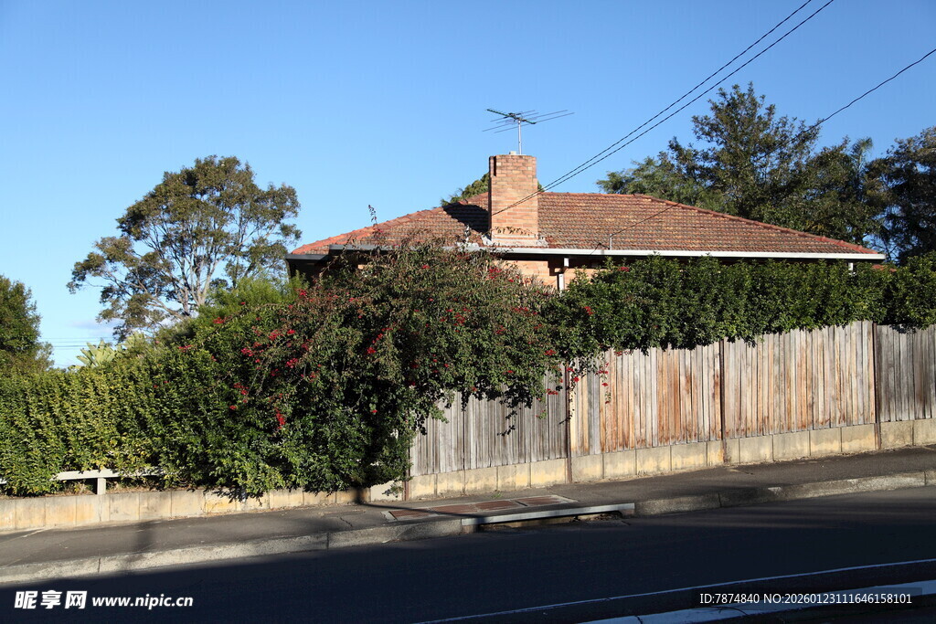 郊区住宅 宁静惬意景象