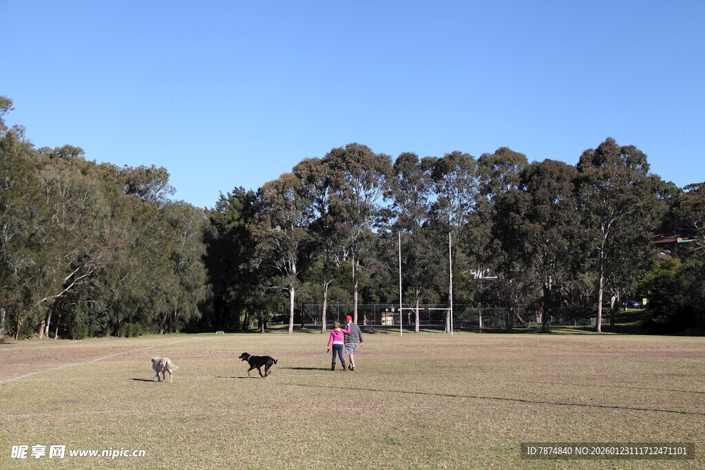 户外草地人犬休闲时光
