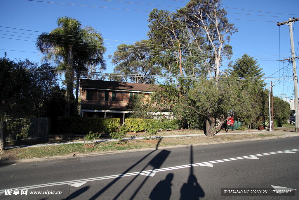 街道旁的绿树与房屋