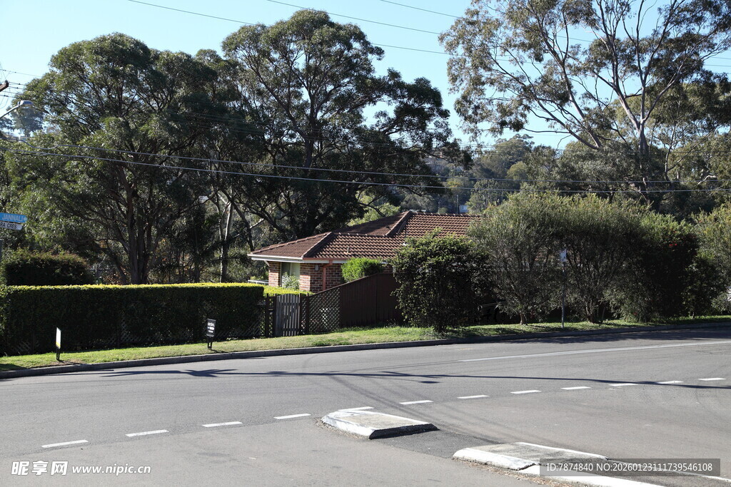 住宅区旁的道路与绿树